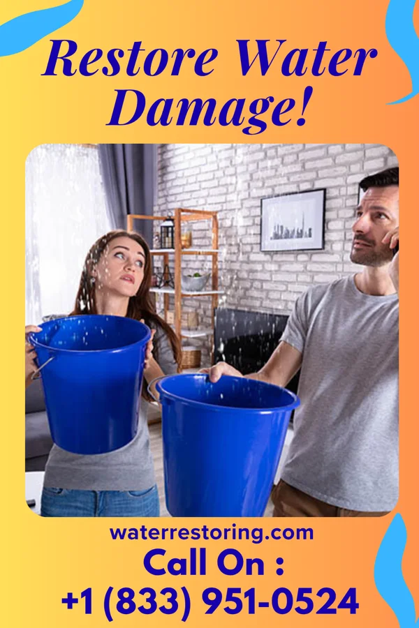 water restoration Best Damage Recovery Specialists West Ishpeming