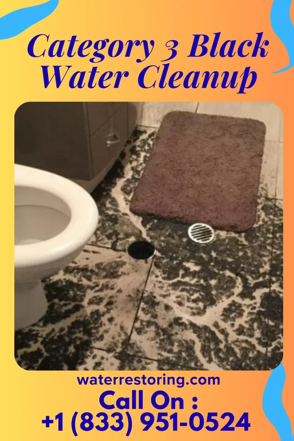 Category 3 Black Water Cleanup in West Ishpeming, MI