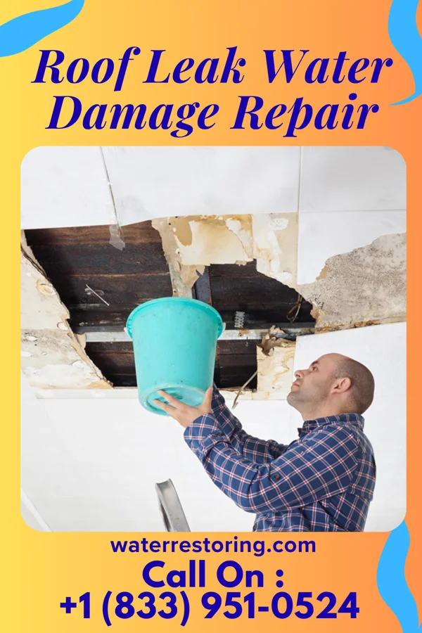 Roof Leak Water Damage Repair in West Ishpeming, MI