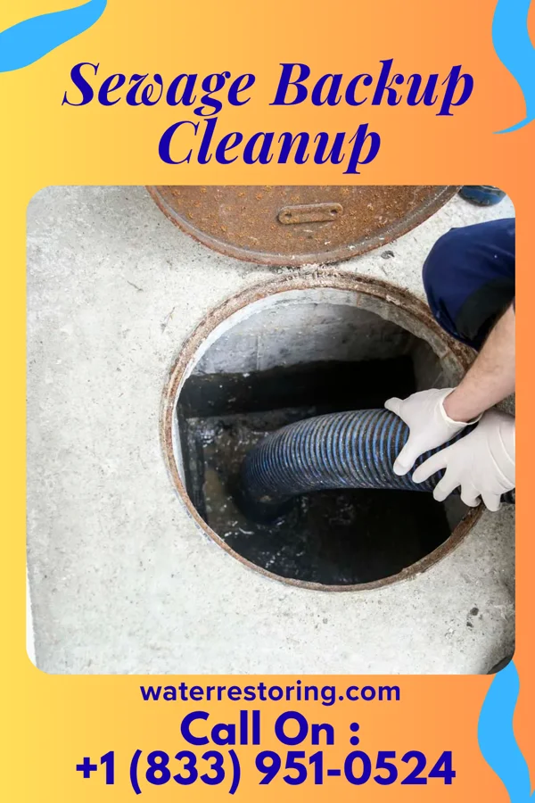 Sewage Backup Cleanup in West Ishpeming, MI