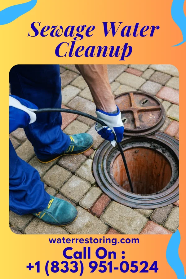 Sewage Water Cleanup in West Ishpeming, MI